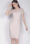 Dallace Lace Sleeved Dress In Pink