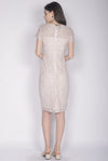 Dallace Lace Sleeved Dress In Pink